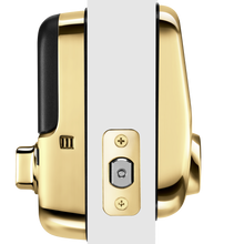 Load image into Gallery viewer, Yale Assure Lock Touchscreen, Connected by August - Polished Brass